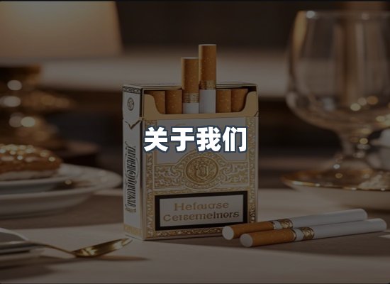 关于我们